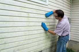 Best Storm Damage Siding Repair  in Highspire, PA